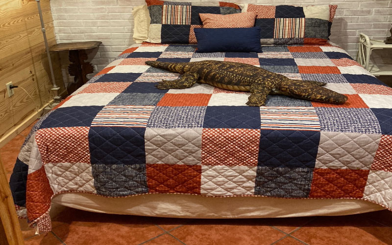bed-4